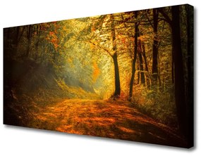 Vászonkép Forest Lane fák természet 100x50 cm