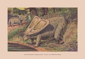 Illusztráció Torosaurus and Monoclonius, Cretaceous period, chromolithograph,, ZU_09