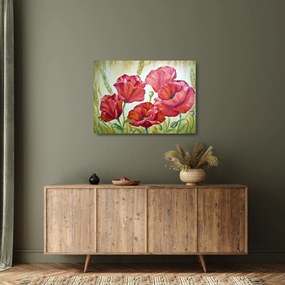 Kép - Pipacsvirágok (üvegen) (70x50 cm)