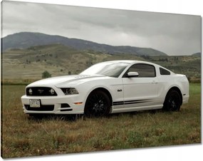 Vászonkép 100x70 Fehér Ford Mustang