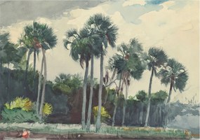 Flizelin fotótapéta Flizelin Design Egzotikus pálmafák 208x146