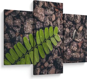 Zöld növények képe (90x60 cm)