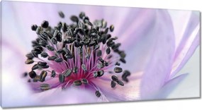 Vászonkép 115x55 Finom porzószálak