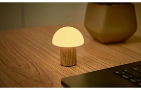 Natúr színű kőrisfa LED dimmelhető asztali lámpa (magasság 7 cm) Alice – Gingko