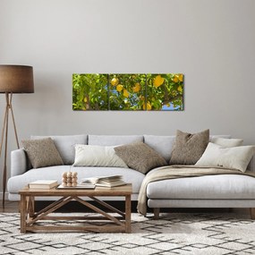 Kép - Citromfa (órával) (90x30 cm)