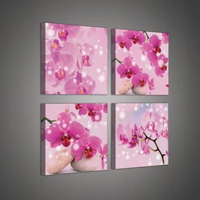 Vászonkép 50x50 Orchidea zen nyugalom pihenés rózsaszín kövek természet elegancia
