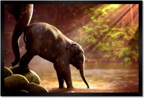 Poszterek keretben 60x40 Anya csak egy van