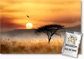 Fotótapéta Flizelina Afrika Szavanna Sztyeppék Fa Nap Madár 100x75 ragasztó