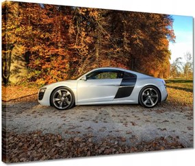 Vászonkép 40x30 Őszi Audi Autó