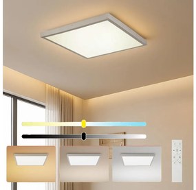 Brilagi - LED fényerőszabályozható fürdőszobai lámpatest FRAME SMART LED/50W/230V 60x60 IP44 + távirányító