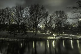 Poszter 45x30cm Central Park éjszaka 2, Assaf Frank