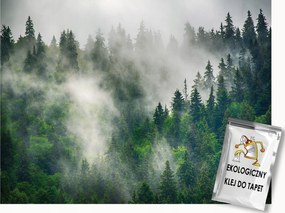 Fotótapéta Flizelina Tájkép Hegyek Erdő Fák Köd 350x250 ragasztó