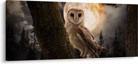 Egy gyöngybagoly képe (120x50 cm)