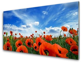 Üvegkép Mező Pipacsok virágok 100x50 cm