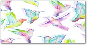 Fotótapéta falra edzett üveg Kolibri 140x70