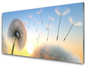 Akrilkép Dandelion Flower Plant 100x50 cm 2 fogas