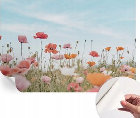 Öntapadós Dekoratív Fotótapéta Hálószobába Pipacsvirágok 152x104 cm
