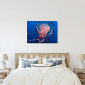 Medúza képe (70x50 cm)