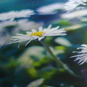 Százszorszépek képe (120x50 cm)