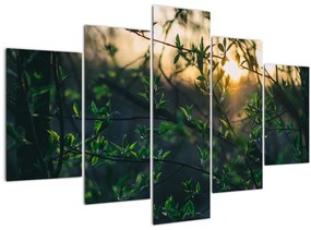 A ragyogó nap képe a fák gallyain keresztül (150x105 cm)