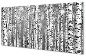 Üvegképek Fekete és fehér fa 100x50 cm