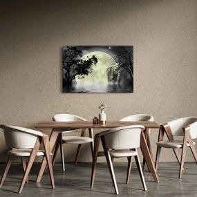 Kép - Telihold a felszín felett, fekete-fehér változat (90x60 cm)