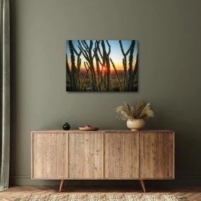 Kép - Növények (70x50 cm)