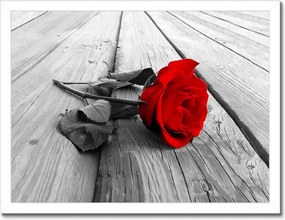 Poszterek keretben 40x30 Vörös rózsa a deszkákon