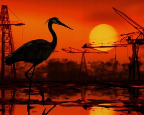 Poszter 50x40cm Alkonyat Ipari Daru