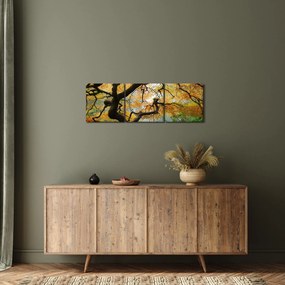 Egy sárga japán juhar képe, Portland, Oregon (órával) (90x30 cm)