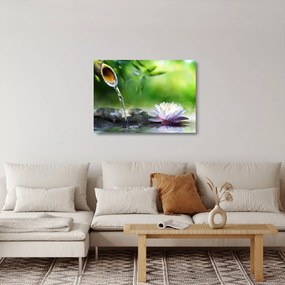 Üveg kép - Lotus (70x50 cm)