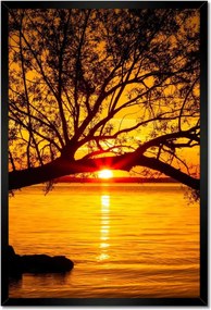 Poszterek keretben 40x60 Tengerpart Fa Tenger