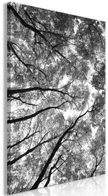 Kép - High Trees (1 Part) Vertical