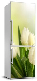 Matrica hűtőre Tulipán FridgeStick-70x190-f-34973360