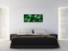 Kép - Zöld levelek (120x50 cm)