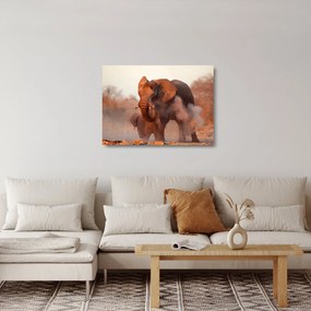 Üveg kép - Nagy afrikai elefánt (70x50 cm)