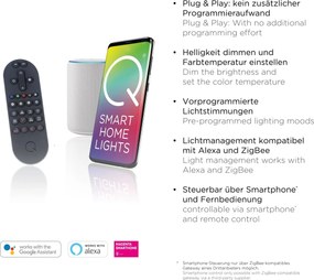 Paul Neuhaus modern függeszték q-swing antracit matt sárgaréz pln2385-13