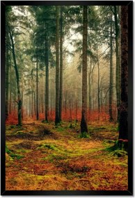 Poszterek keretben 40x60 Erdei táj Kilátás