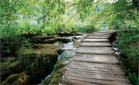 Fotótapéta Erdei ösvény Napsütötte Zöld erdő Idill 200x140 +ragasztó