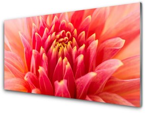 Modern üvegkép Természet virág növény 100x50 cm