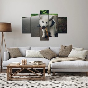 Egy fehér kutya képe (150x105 cm)