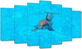 Festmények 140x80 Delfin