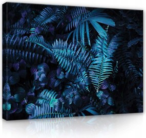 Vászonkép 80x60 Trópusi növényzet páfrány pálmalevelek sötét nyugodt
