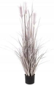Bézs Szürke Fű Növény Dekoratív Nagy Hálószoba Nappali Dekoráció