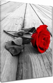 Vászonkép 60x80 Vörös rózsa a deszkákon