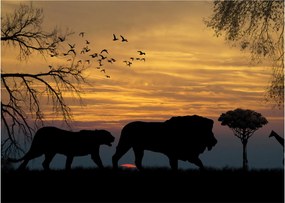 Safari képe (üvegen) (70x50 cm)