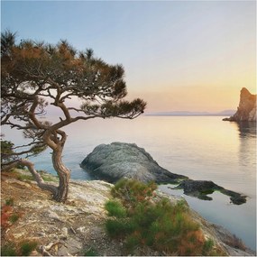 Dekoratív fotótapéta Hálószobába Nyugodt természet 250x250