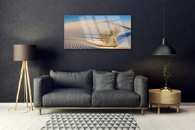 Üvegfotó Fekvő sivatagi homok 120x60cm