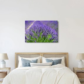 Kép - levandula (90x60 cm)
