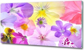 Fotó üvegkép Levendula a fán 125x50